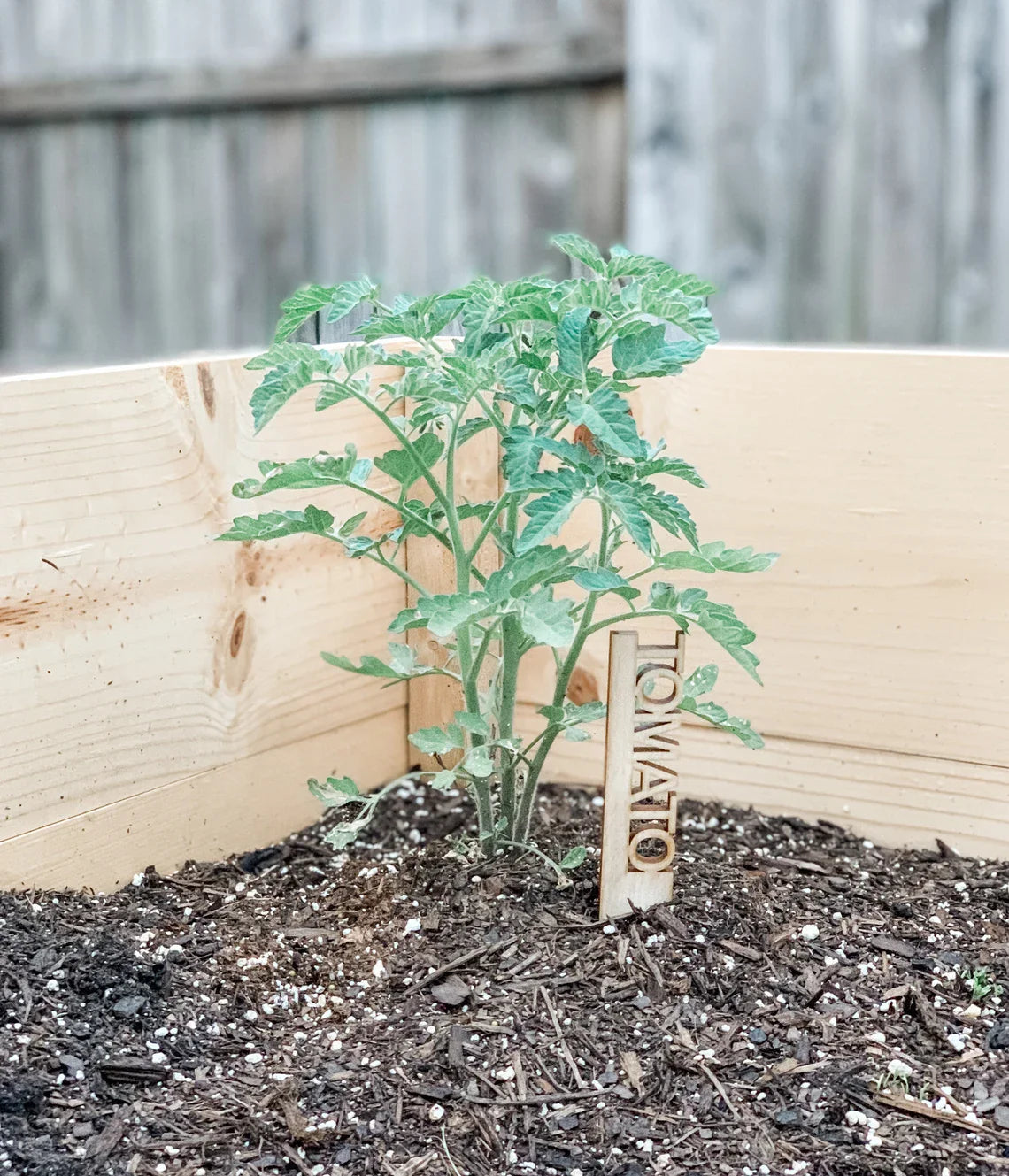SOLID WOOD Herb Markers - Vegetable Markers - Garden Markers - Plant Labels - Plant Tags - Garden Labels - LLD Gifts by Lauren Lash
