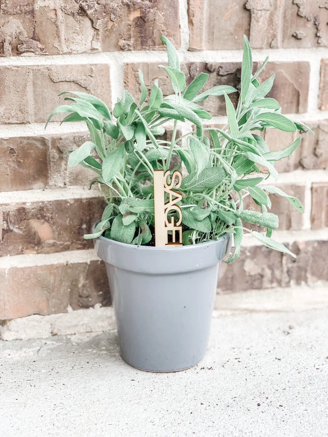 SOLID WOOD Herb Markers - Vegetable Markers - Garden Markers - Plant Labels - Plant Tags - Garden Labels - LLD Gifts by Lauren Lash